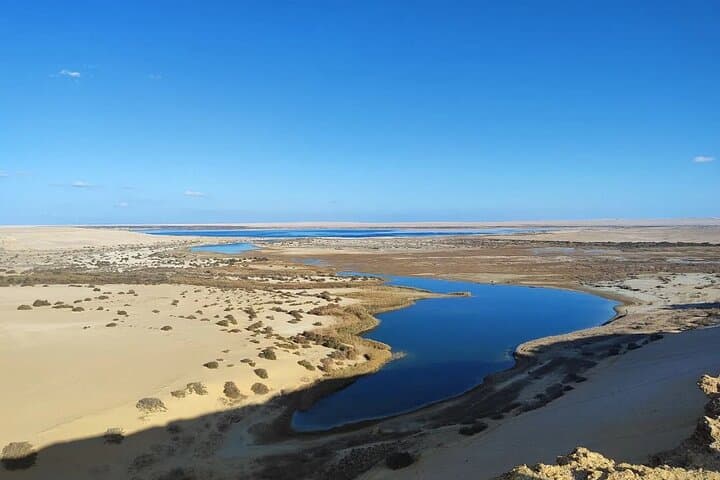 3-Day Wadi El Hitan & Fayoum Oasis Private Tour from Cairo photo 2