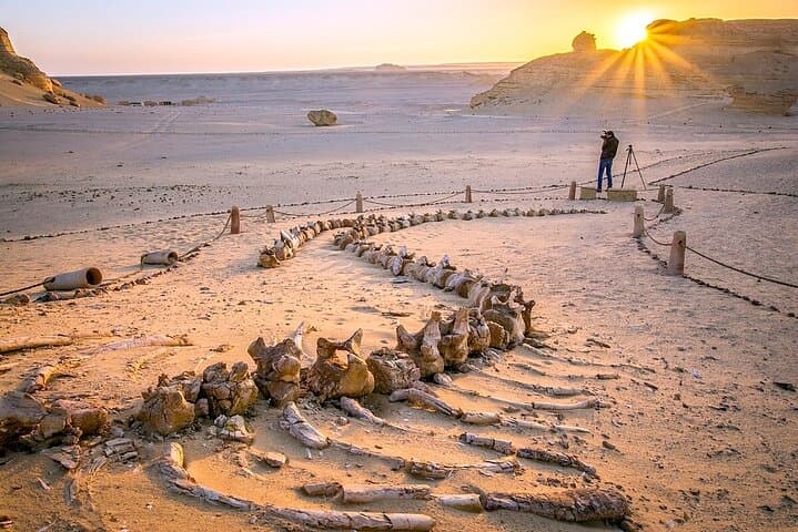 3-Day Wadi El Hitan & Fayoum Oasis Private Tour from Cairo