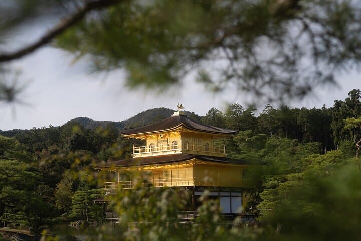 Early Morning Kyoto Walking Tour — Fushimi Inari, Kinkakuji & Arashiyama photo 5