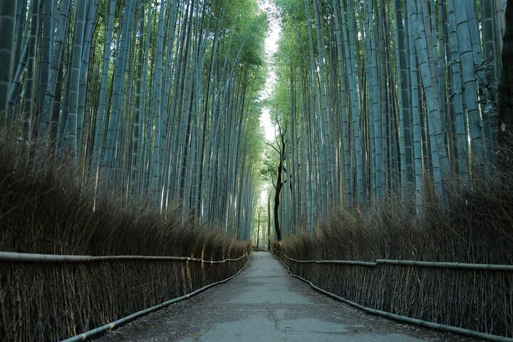 Early Morning Kyoto Walking Tour — Fushimi Inari, Kinkakuji & Arashiyama photo 3