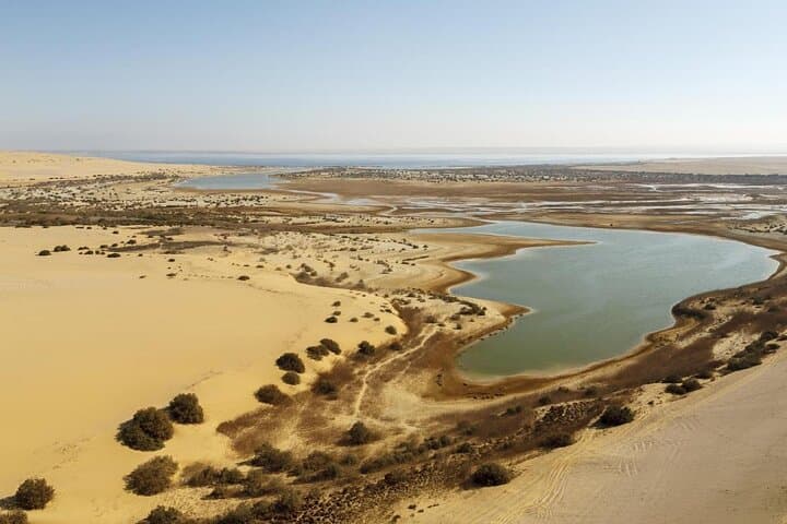 3-Day Wadi El Hitan & Fayoum Oasis Private Tour from Cairo photo 5
