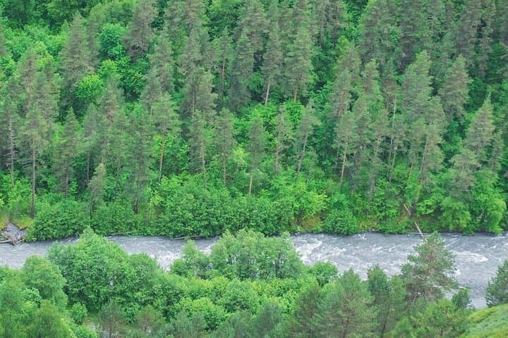 Tusheti Self-Guided Walking Tour: 7-Day Omalo to Dartlo Hike in Georgia photo 5