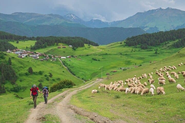 Tusheti Self-Guided Walking Tour: 7-Day Omalo to Dartlo Hike in Georgia