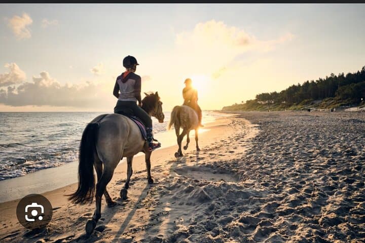 Horseback Riding on Hurghada’s Red Sea Coast: Desert Dunes to Beach Gallops photo 2