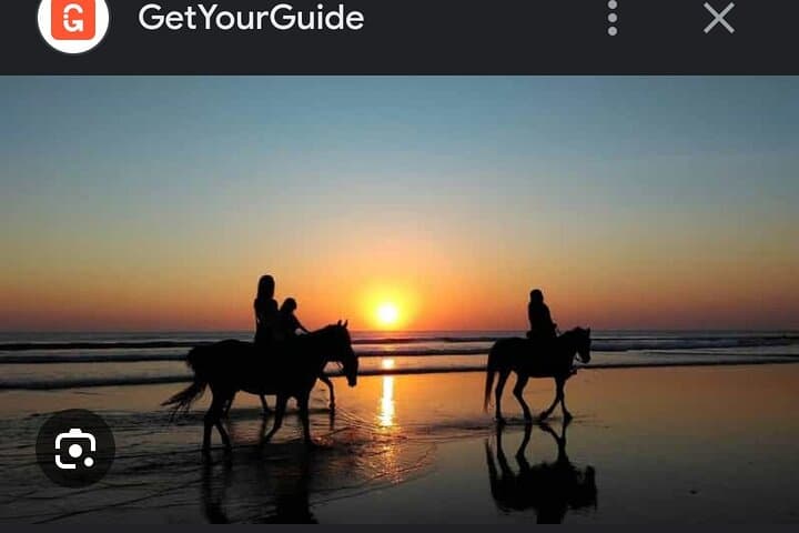 Horseback Riding on Hurghada’s Red Sea Coast: Desert Dunes to Beach Gallops photo 3