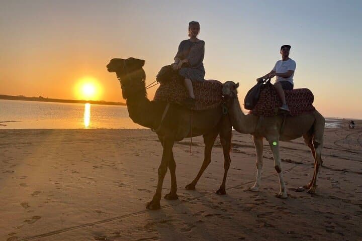 Agadir Camel Ride & Berber BBQ: Eucalyptus Trail, Flamingos and Couscous photo 2