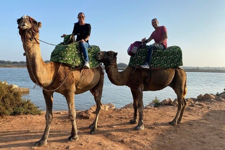 Agadir Camel Ride & Berber BBQ: Eucalyptus Trail, Flamingos and Couscous photo 6