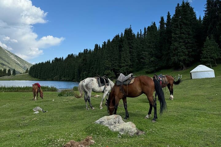 Discover Issyk-Kul Lake: 2-Day 4x4 Adventure from Bishkek photo 6