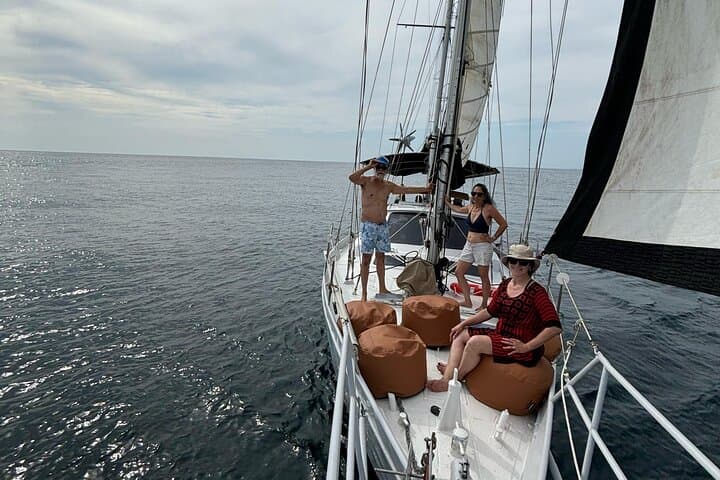Nosara Catamaran Sail: 3-Hour Dolphin and Snorkel Excursion