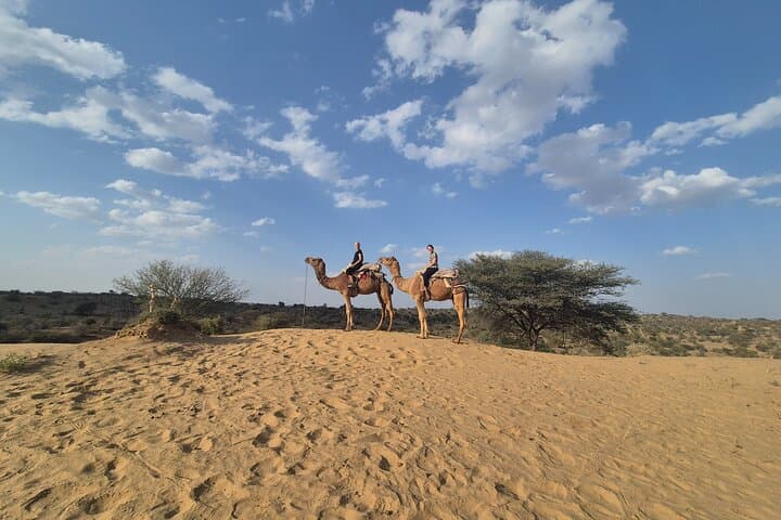 Osian Sunset Camel Safari and Sachiya Mata Temple Walk — Half-Day Desert Experience photo 6