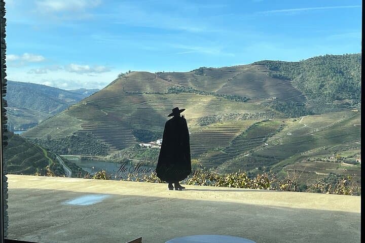 Douro Valley Half-Day Wine Tour from Porto — Winery Tasting, Lunch & Scenic Viewpoints photo 6