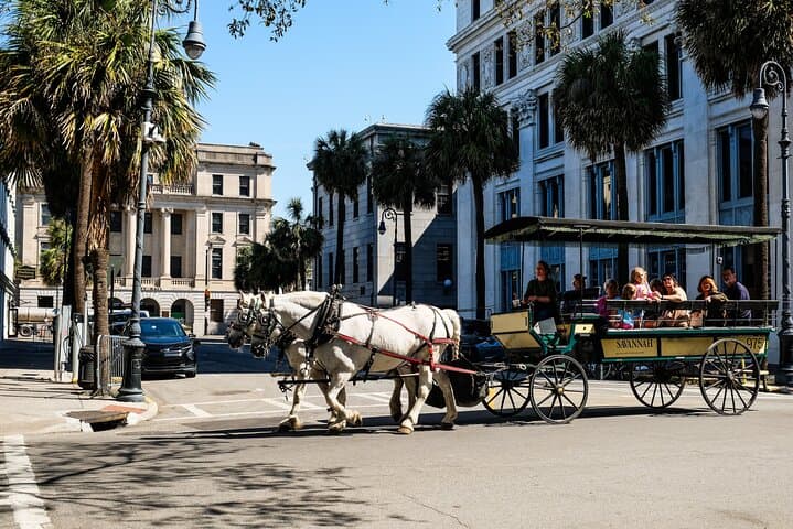 Savannah’s Sweet Streets: Historic Downtown Donut & Treats Walking Tour photo 5