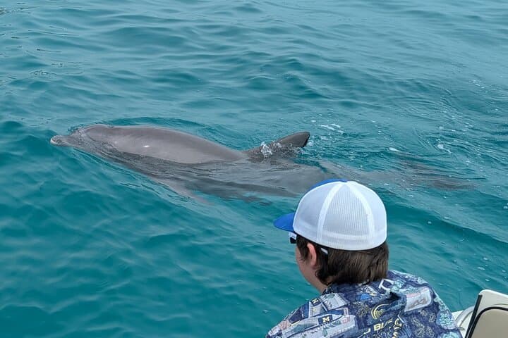Private 2-Hour Dolphin & Shell Island Sightseeing Tour — Panama City Beach photo 3