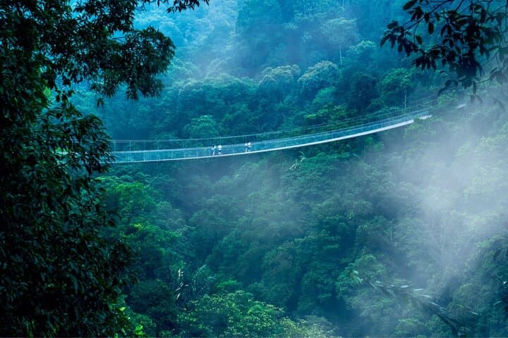 Jakarta Rainforest Hike: Suspension Bridge, Twin Waterfalls & Situ Gunung Lake photo 3