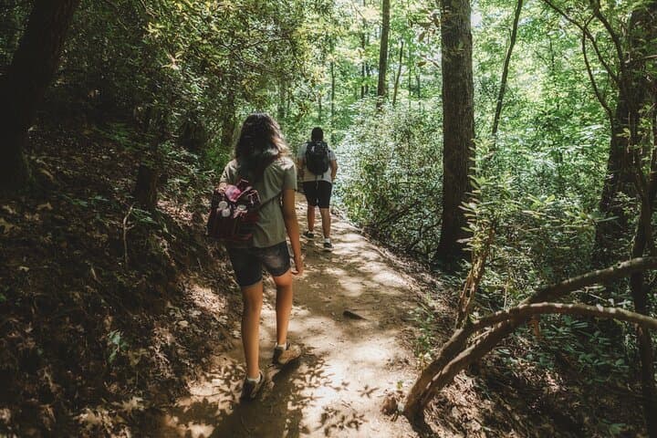 Bogor Botanical Garden & Rainforest Trek to a Hidden 40m Waterfall photo 2