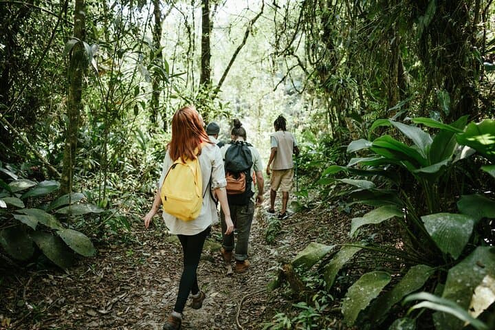 Jakarta Rainforest Hike: Suspension Bridge, Twin Waterfalls & Situ Gunung Lake photo 2