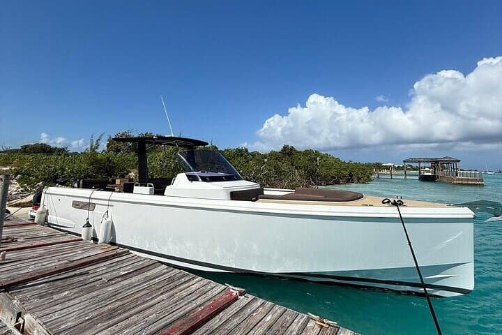 Private Boat Tour Grace Bay: Half-Day to Pine Cay, Half Moon Bay & Sand Dollar Bar photo 2