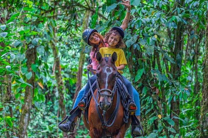 Arenal Horseback Riding: Volcano & Lake Views on a 5km Mistico Trail photo 3