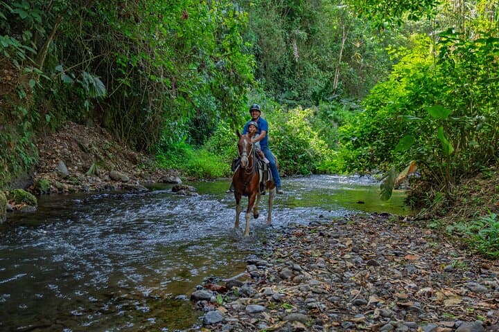 Arenal Horseback Riding: Volcano & Lake Views on a 5km Mistico Trail photo 2