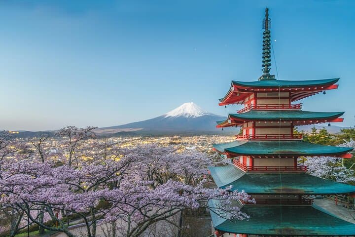 Mount Fuji Day Tour from Tokyo: Lake Kawaguchi, Matcha Workshop & Gotemba Outlets photo 3