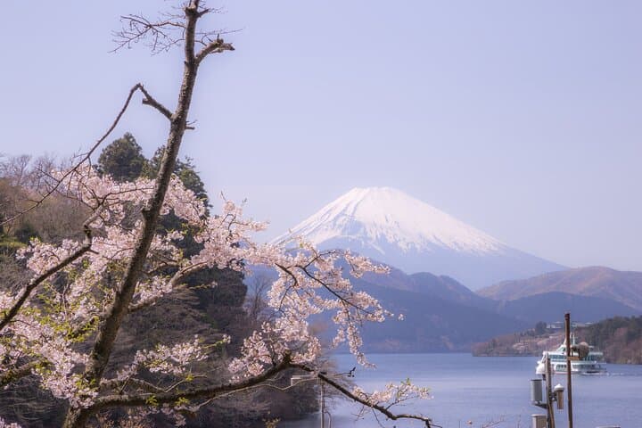 Mount Fuji Day Tour from Tokyo: Lake Kawaguchi, Matcha Workshop & Gotemba Outlets photo 2