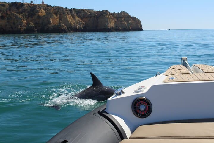 Benagil Cave, Ponta da Piedade & Dolphin‑Spotting Boat Tour from Lagos photo 3