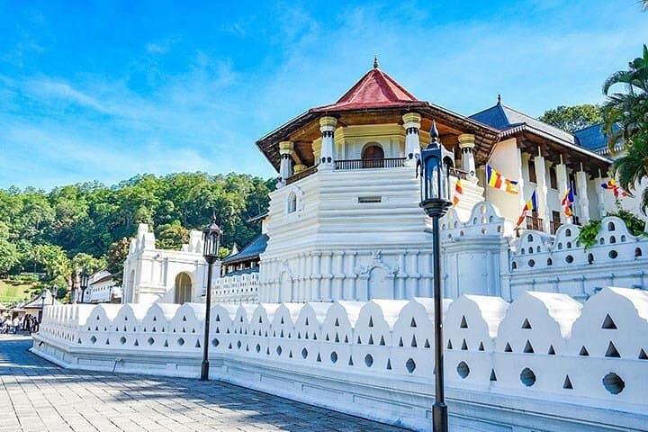 6-Day Tour of Sri Lanka: Cultural Triangle, Hill Country & Southern Coast