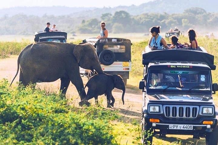6-Day Tour of Sri Lanka: Cultural Triangle, Hill Country & Southern Coast photo 3