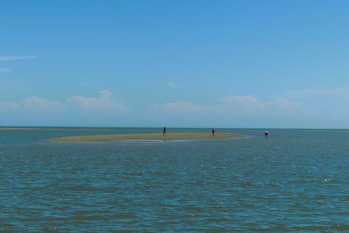 Vanishing Mile Isle Beachcomber Tour — Hilton Head's Tide-Revealed Sandbar photo 2