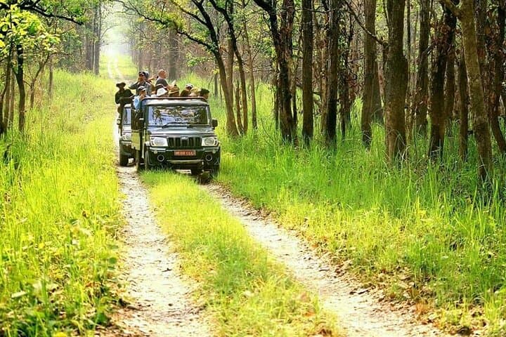 Chitwan National Park 3-Day Safari: Rhinos, Birds & Tharu Culture photo 6