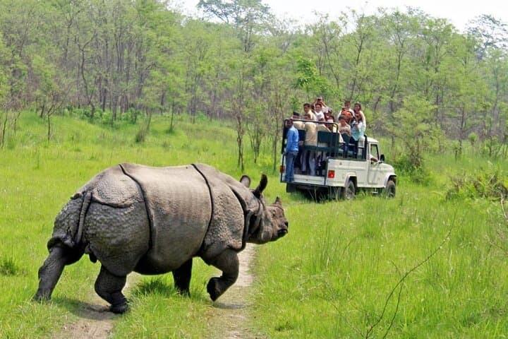 Chitwan National Park 3-Day Safari: Rhinos, Birds & Tharu Culture photo 3