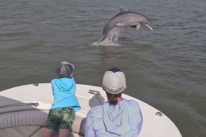 Hilton Head Dolphin Tour: 90-Minute Private Calibogue Sound Cruise photo 2