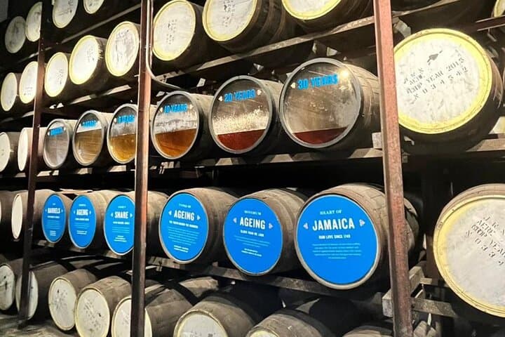 Explore YS Falls and Appleton Estate: Waterfalls, Sugarcane Fields & Rum Tasting