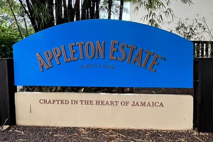 Explore YS Falls and Appleton Estate: Waterfalls, Sugarcane Fields & Rum Tasting photo 2