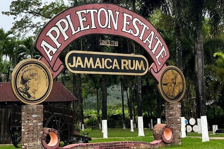 Explore YS Falls and Appleton Estate: Waterfalls, Sugarcane Fields & Rum Tasting photo 3