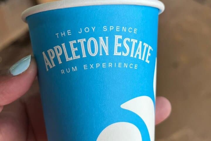 Explore YS Falls and Appleton Estate: Waterfalls, Sugarcane Fields & Rum Tasting photo 5