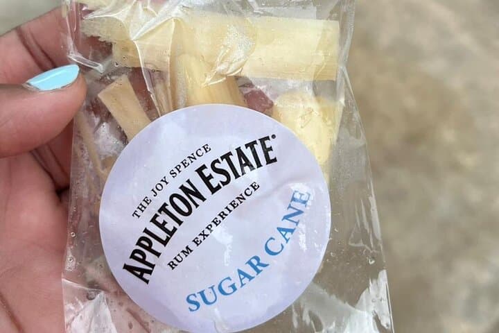 Explore YS Falls and Appleton Estate: Waterfalls, Sugarcane Fields & Rum Tasting photo 6