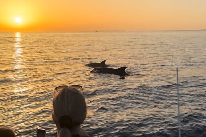 Sunset Dolphin Watching with Marine Biologists in Faro’s Ria Formosa photo 6