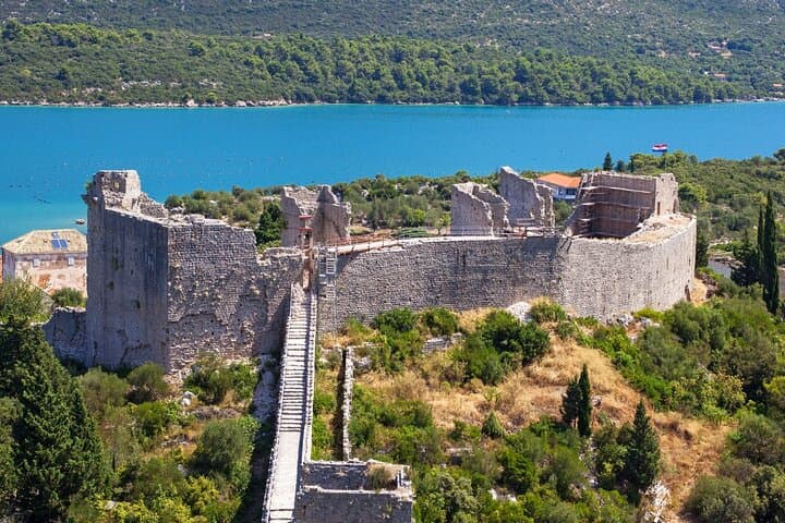 Ston & Pelješac Private Wine and Oyster Tour from Dubrovnik to Split photo 4