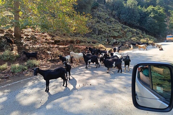 Elafonisi Beach Day Trip from Chania — Pink Sands & Chrysoskalitissa Monastery photo 5