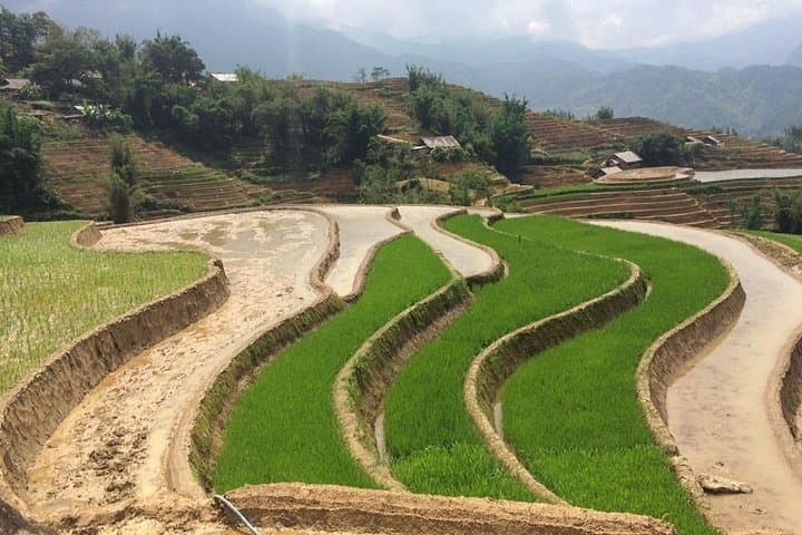 Sapa Private Hmong Trek: Day Tours to Rice Terraces & Village Life photo 4