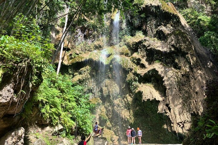 Oslob Whale Shark Encounter, Tumalog Waterfall & Sumilon Sandbar Day Tour photo 3