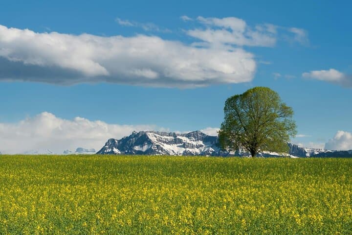 Mt Titlis & Lucerne Day Trip from Zurich — Ice Flyer, Cliff Walk & Chapel Bridge photo 5