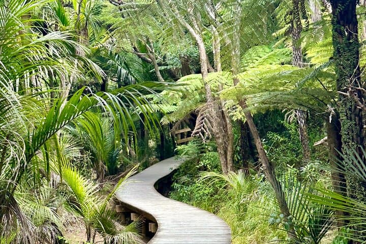 Private Piha Beach, Waitākere Rainforest & Mt Eden Guided Tour (5-hour) photo 3