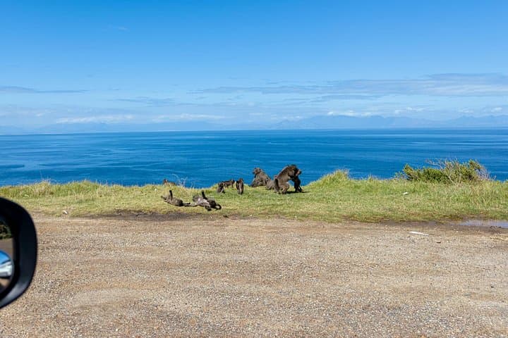 Full-Day Cape of Good Hope and Boulders Beach Penguin Tour from Cape Town photo 3