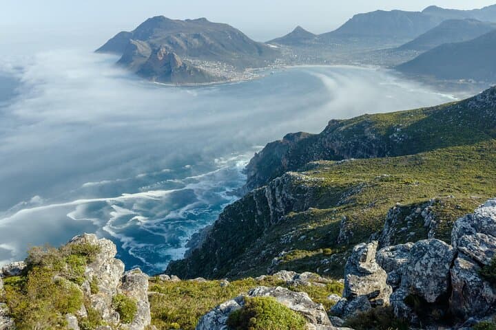 Full-Day Cape of Good Hope and Boulders Beach Penguin Tour from Cape Town photo 4