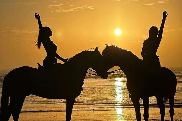 Sunset Horse Ride Experience in Essaouira: Beach, Dunes & Argan Forests