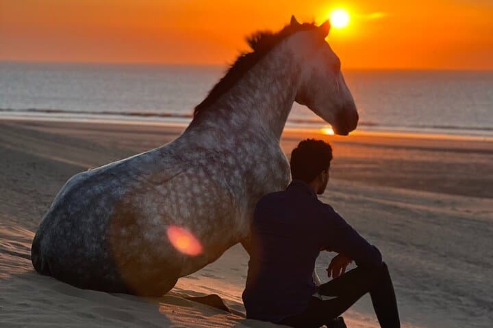 Sunset Horse Ride Experience in Essaouira: Beach, Dunes & Argan Forests photo 2