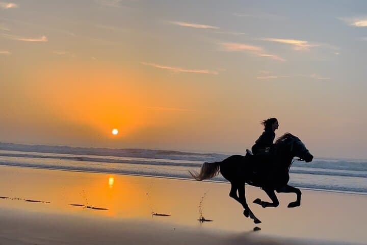 Sunset Horse Ride Experience in Essaouira: Beach, Dunes & Argan Forests photo 3
