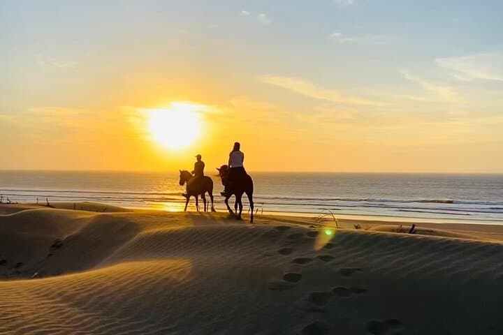Sunset Horse Ride Experience in Essaouira: Beach, Dunes & Argan Forests photo 4